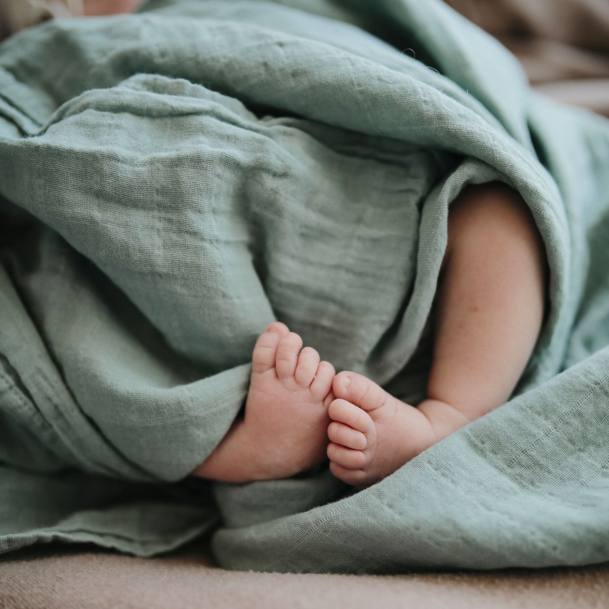 Mushie Organic Cotton Muslin Swaddle Blanket - Image 107