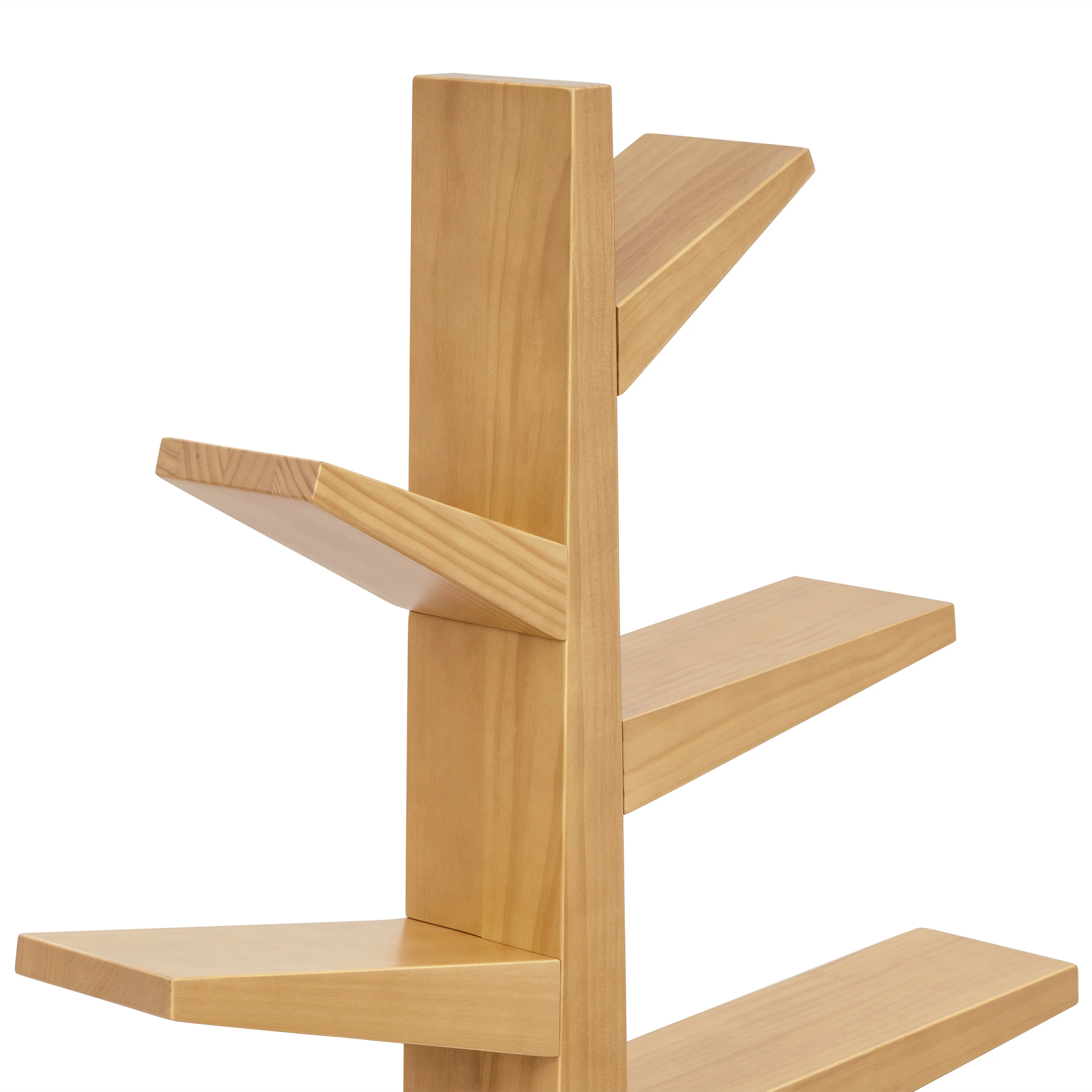 Spruce Tree Bookcase - Image 23