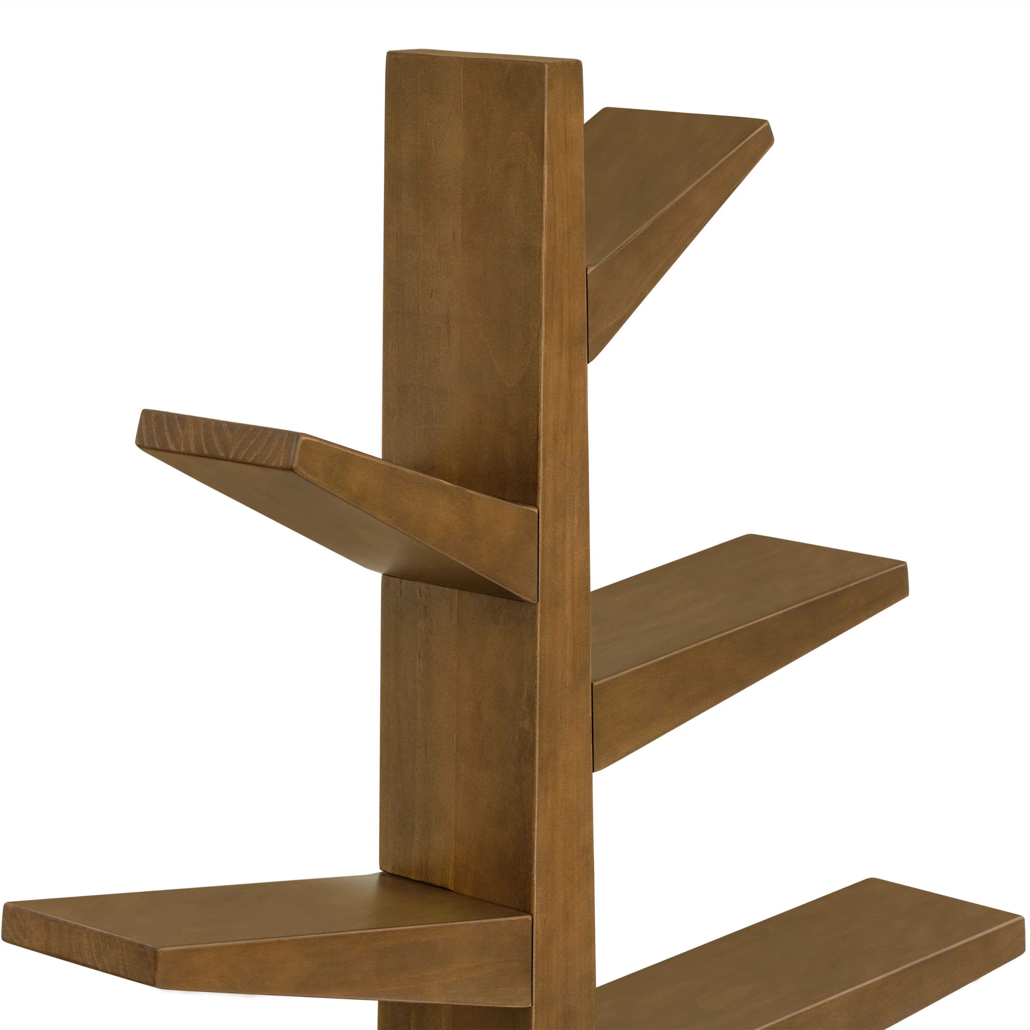 Spruce Tree Bookcase - Image 5